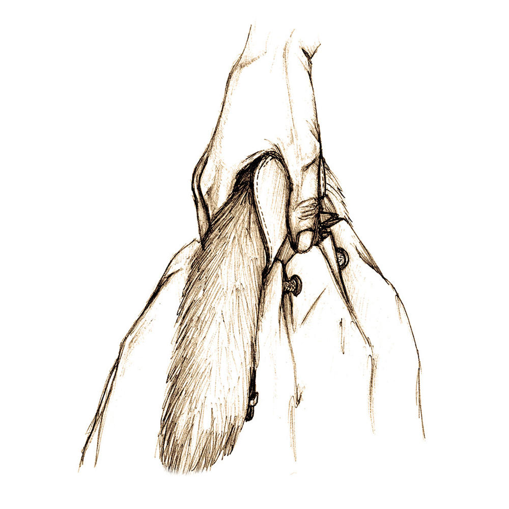 flavia-colantoni-sketch-02